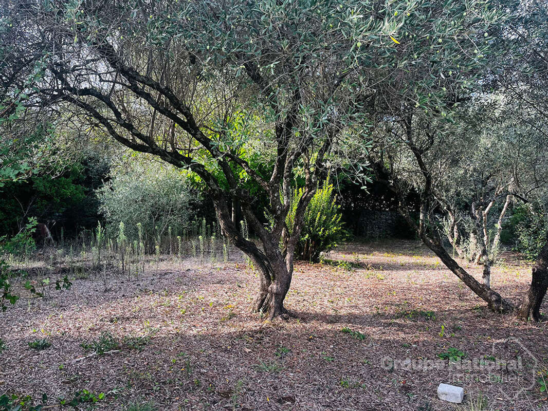 Terrain à GOUDARGUES