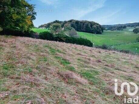 Photo 2 - Terrain à LAFEUILLADE-EN-VEZIE