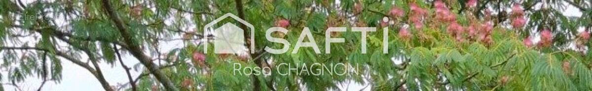 Photo 1 - Maison à SAINT-HILAIRE-DES-LOGES