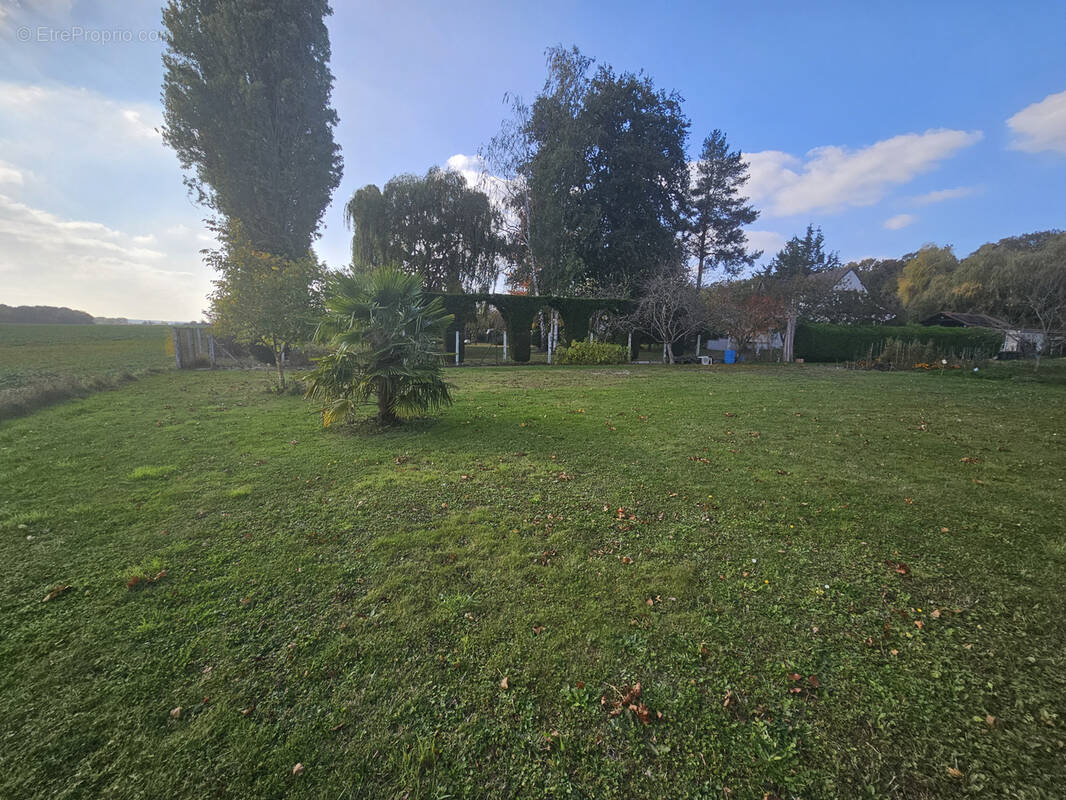 Terrain à SAINT-MAURICE-MONTCOURONNE