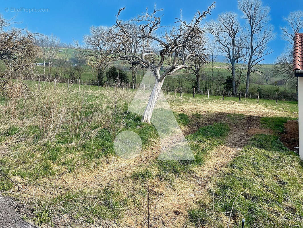 Terrain à VILLECHENEVE
