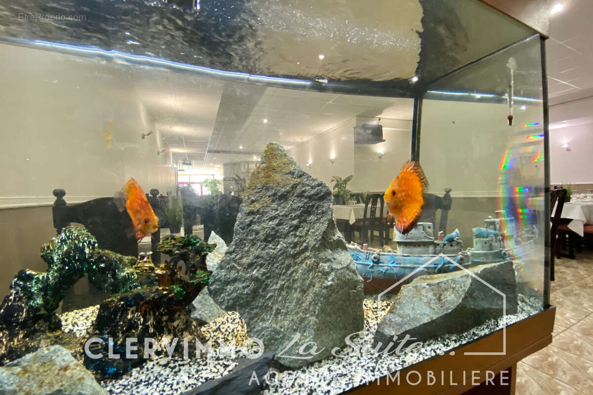 Commerce à MARSEILLE-11E