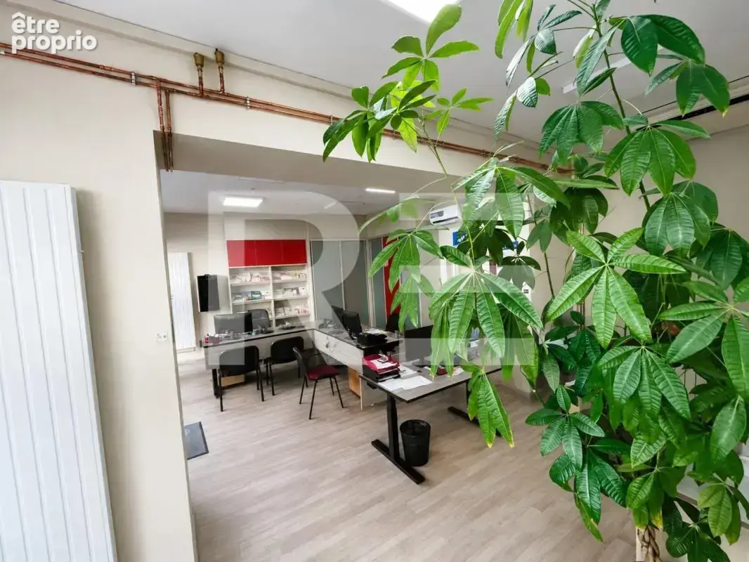 Ensemble immobilier pour professionnel de 400m2 en centre ville de nimes - photo 3