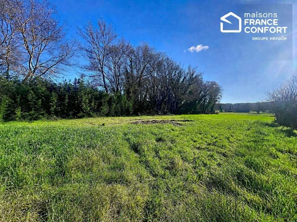 Terrain 1324 m² à Camps-La-Source  - photo 4