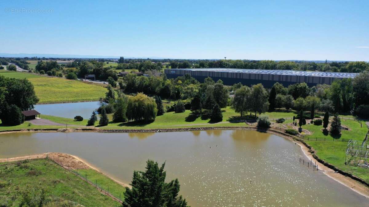 Photo 4 - Terrain à BAGE-LA-VILLE