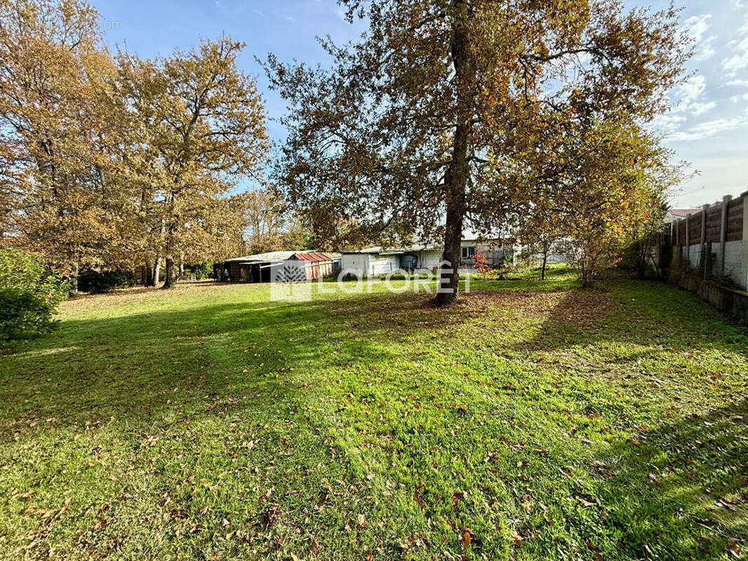 Terrain à SAINT-MICHEL-DE-RIEUFRET