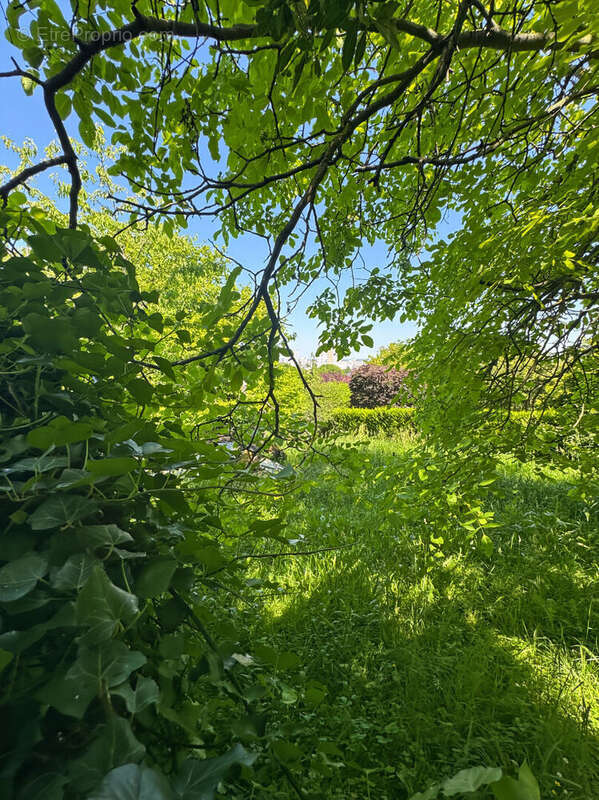 Terrain à ROSNY-SOUS-BOIS
