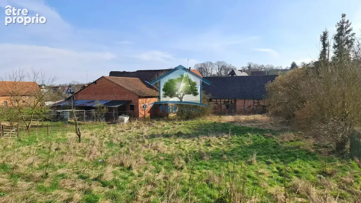 Preuschdorf (67) - maison 138 m² sur 18,7 ares - photo 5
