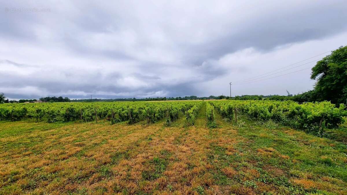 Maison joliment rénovée avec vignoble amateur - photo 12
