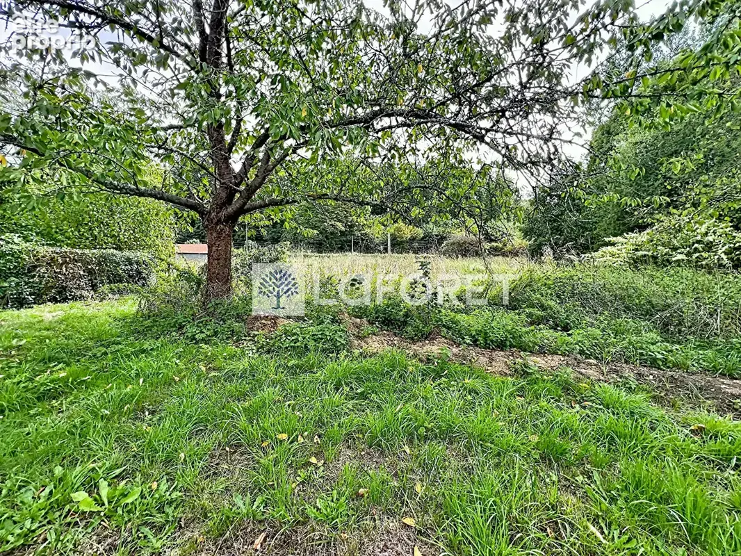 Maison Secondigny 1 pièce(s) 1 m2 - photo 9
