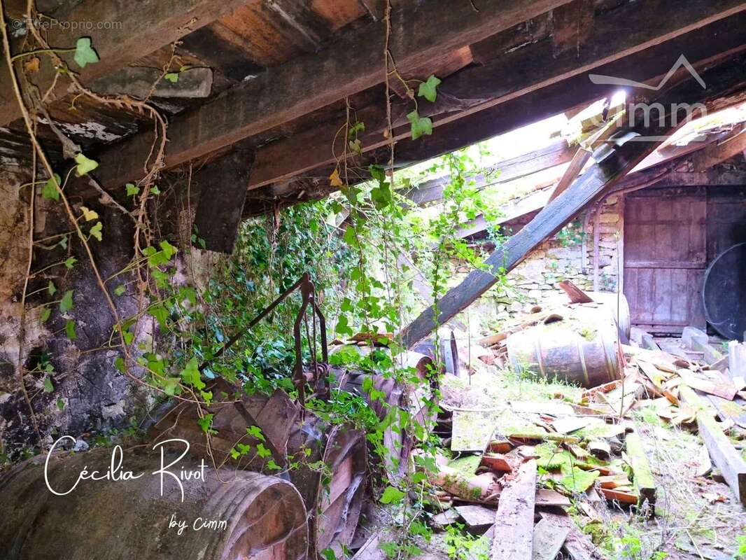 Ancien chai - photo 6