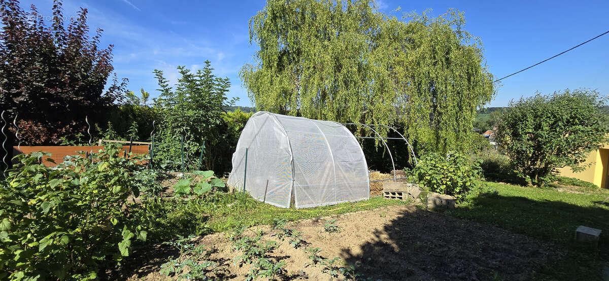 Maison à MICHELBACH-LE-HAUT