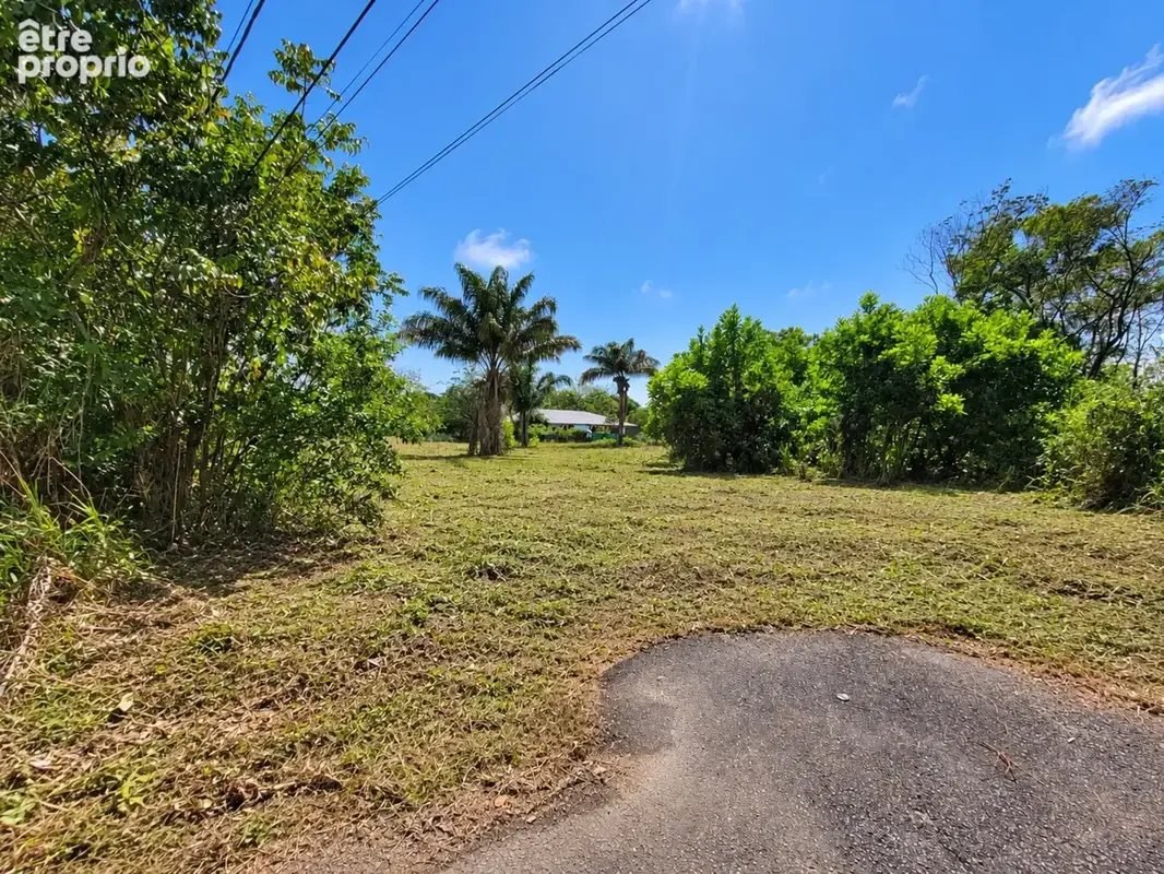 Terrain constructible de 1008 m² à vendre à Sainte Agathe - MACOURIA (973) - photo 4