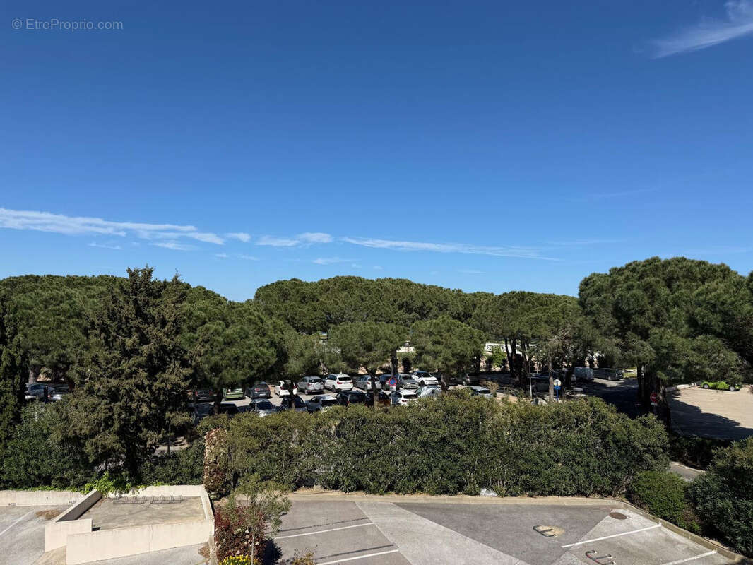 Photo 6 - Appartement à ARGELES-SUR-MER