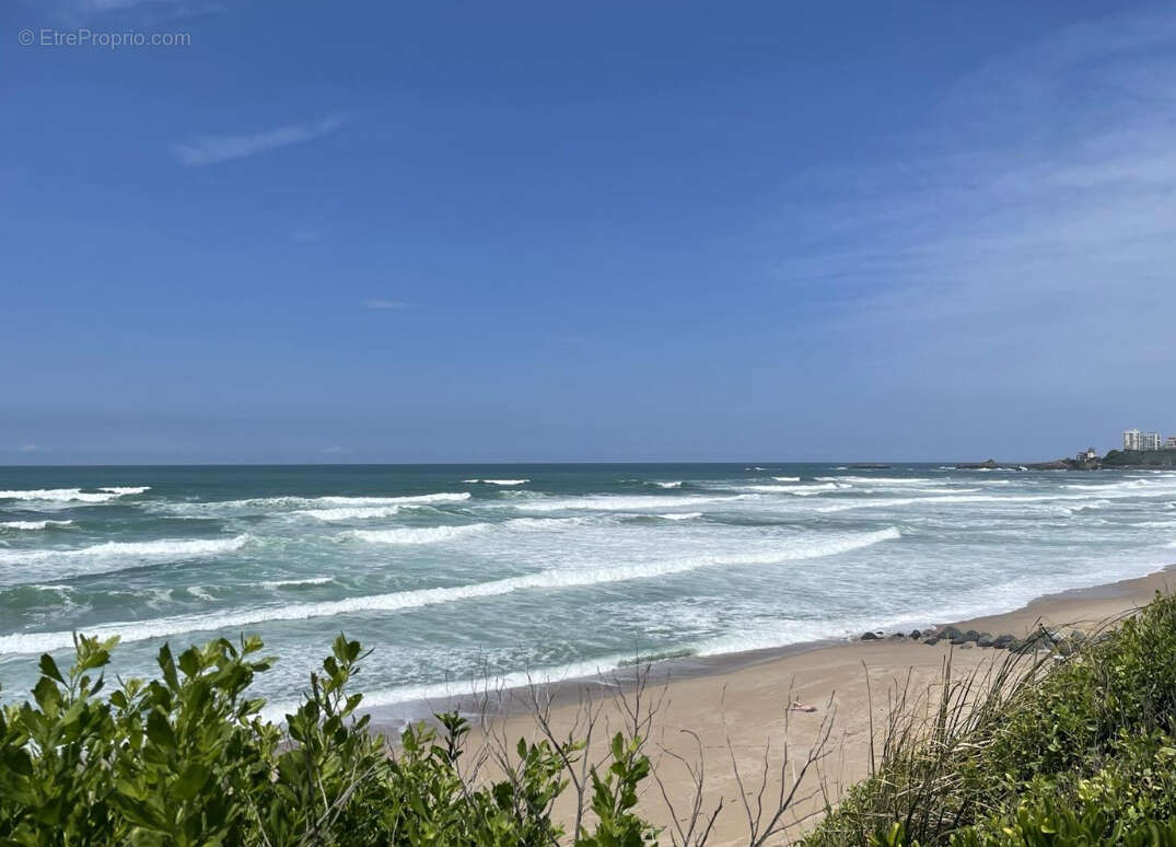 Appartement Biarritz LA MILADY - 2 pièces - photo 7