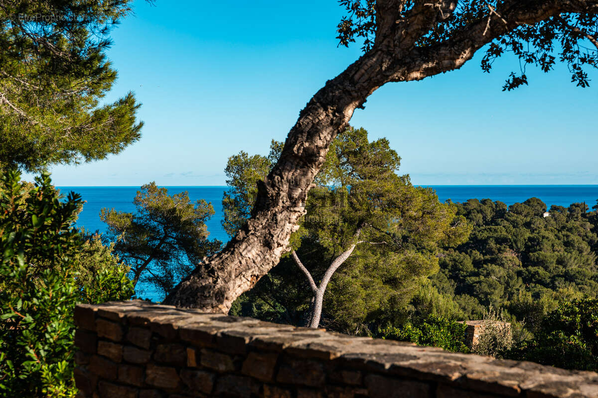 Maison à BORMES-LES-MIMOSAS