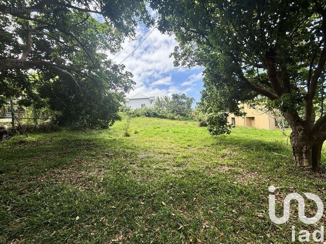 Photo 5 - Terrain à SAINT-PIERRE