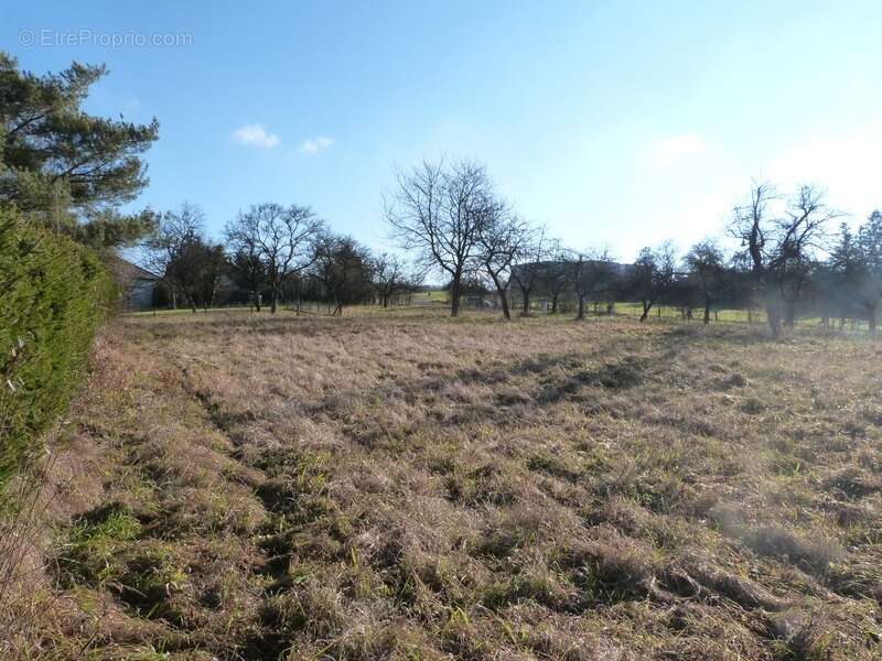Dpt Moselle (57), à vendre proche de SARREGUEMINES terrain - Terrain de 855,00 m² - photo 4
