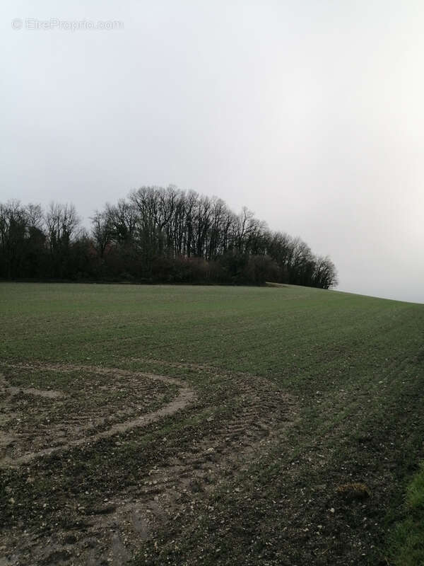 Terrain à SAINT-SEVERIN
