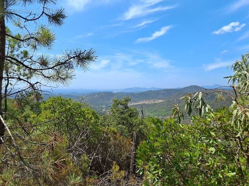 Terrain à BORMES-LES-MIMOSAS
