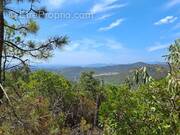 Terrain à BORMES-LES-MIMOSAS