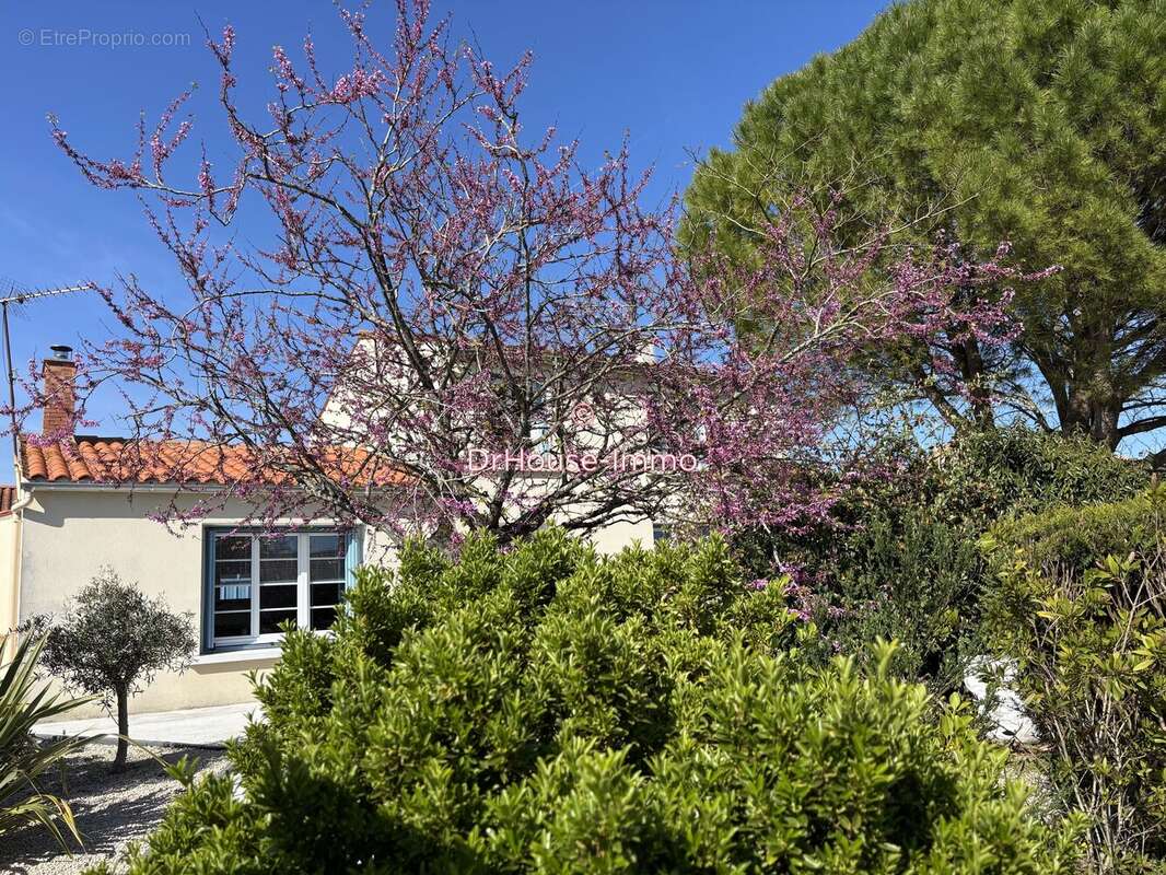 Maison à CHAILLE-LES-MARAIS