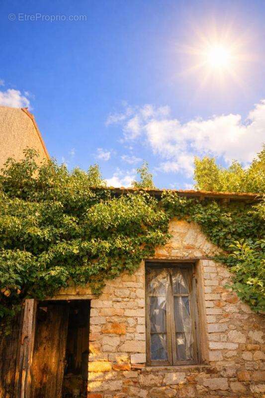 Maison à BOUZIGUES