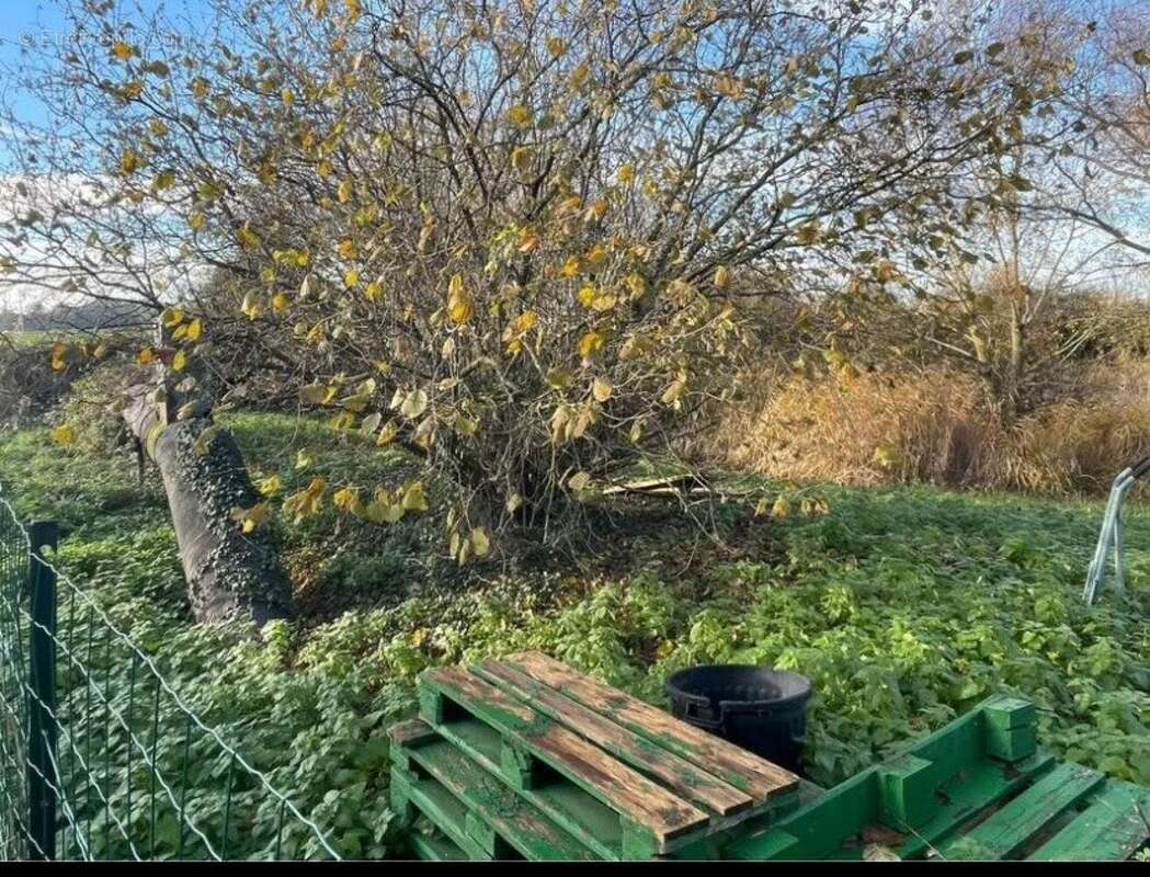 Photo 2 - Terrain à CAPPELLE-BROUCK
