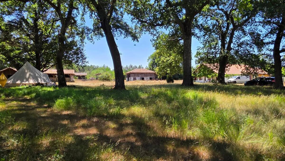 Maison à SABRES