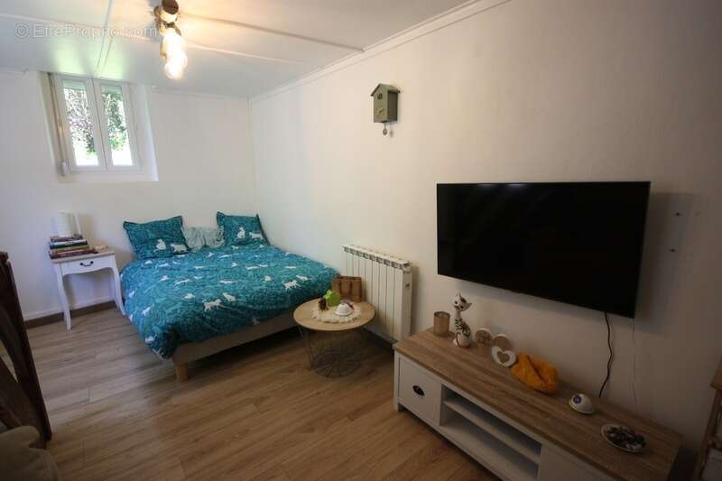 Dpt Ain (01), à vendre CHALEY maison P3 de 52 m² avec terrain non attenant de 351 m² - photo 6