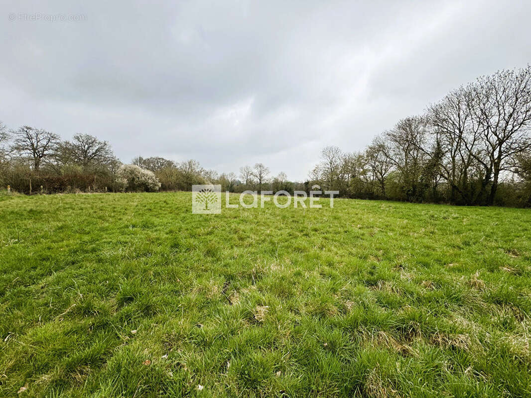 Terrain à ARGENCES
