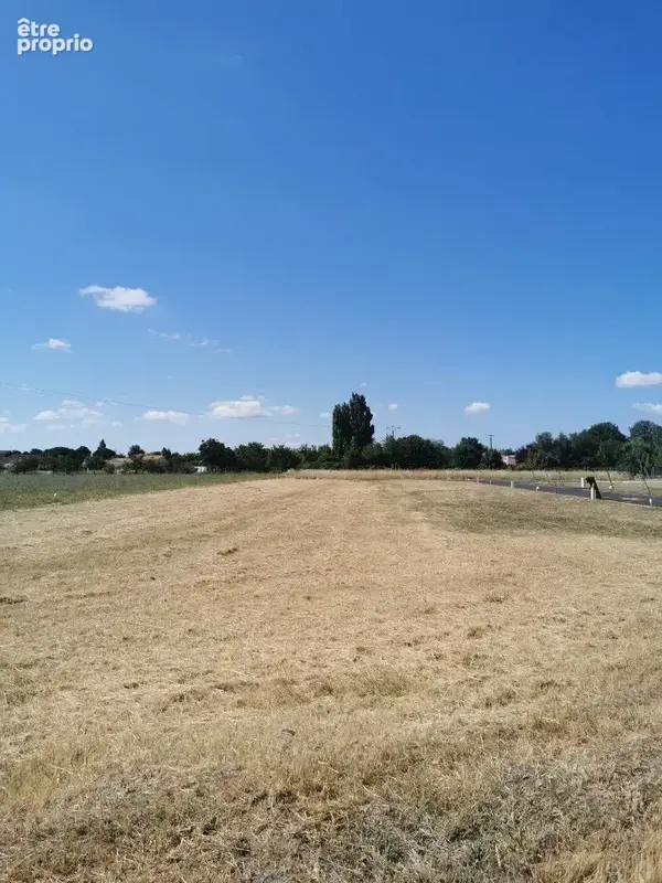 Terrain 300 m² à vendre à Nieulle-Sur-Seudre (17600) - photo 3