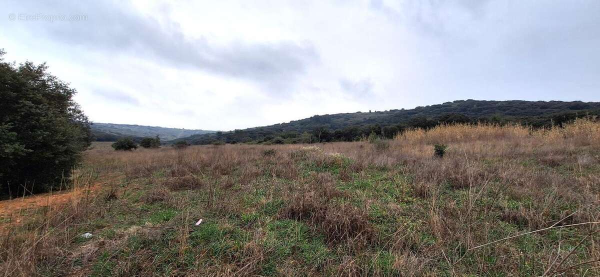 Terrain à VENDEMIAN