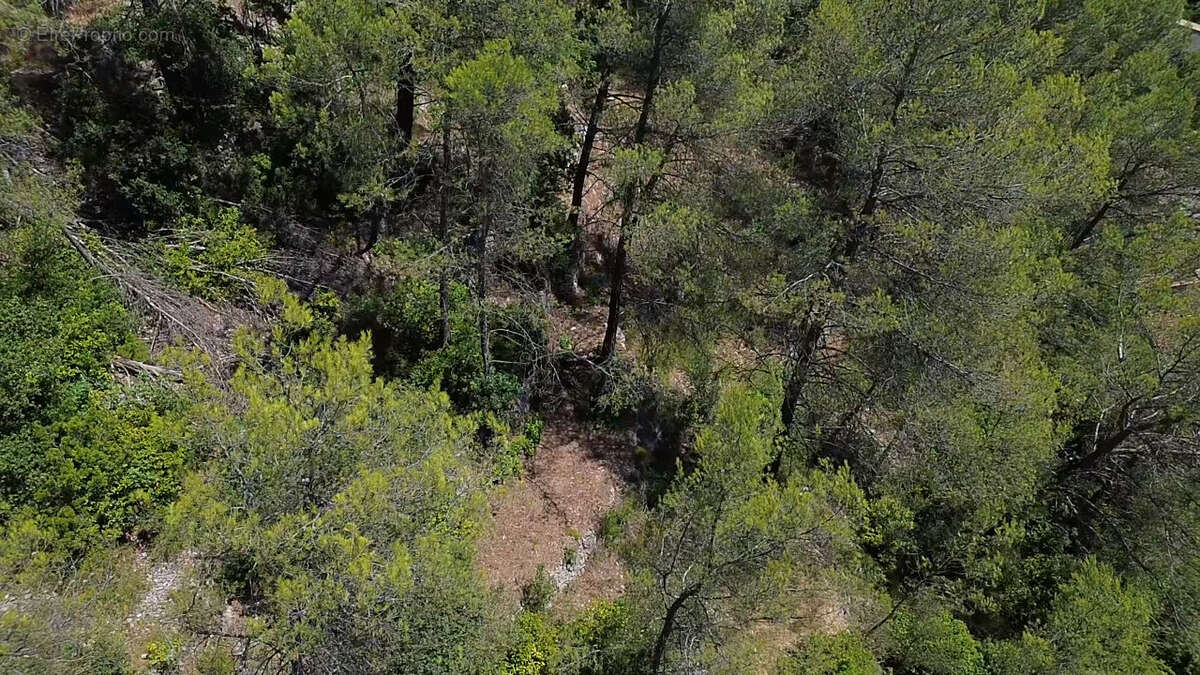 Terrain à SOLLIES-TOUCAS