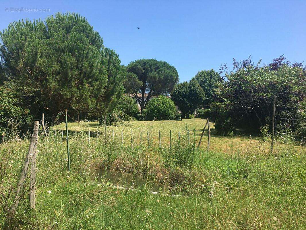 Terrain à SAINT-LOUBES