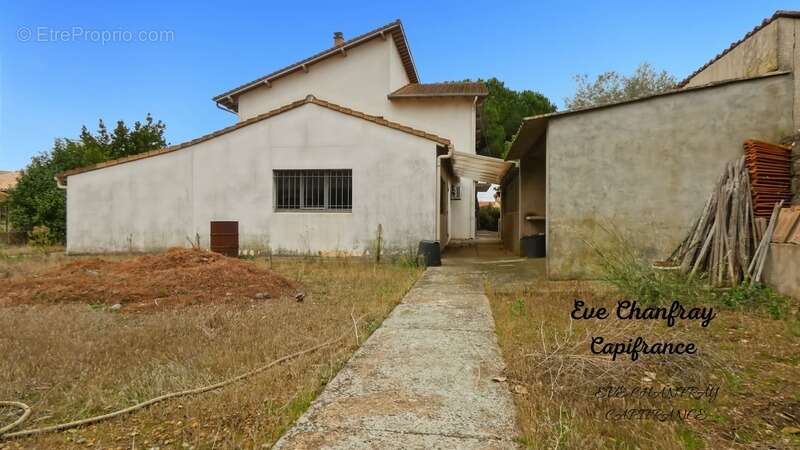 Maison à FRONTIGNAN