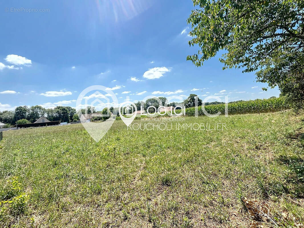 Terrain à ARTIGUELOUTAN
