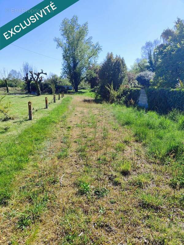 Photo 2 - Terrain à CASTELSARRASIN