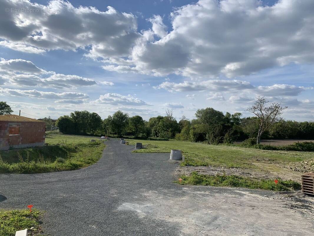 Terrain à LOIRE-LES-MARAIS