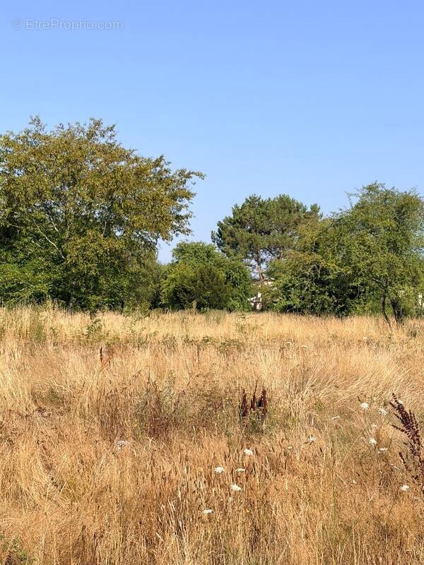 Terrain à LE TAILLAN-MEDOC