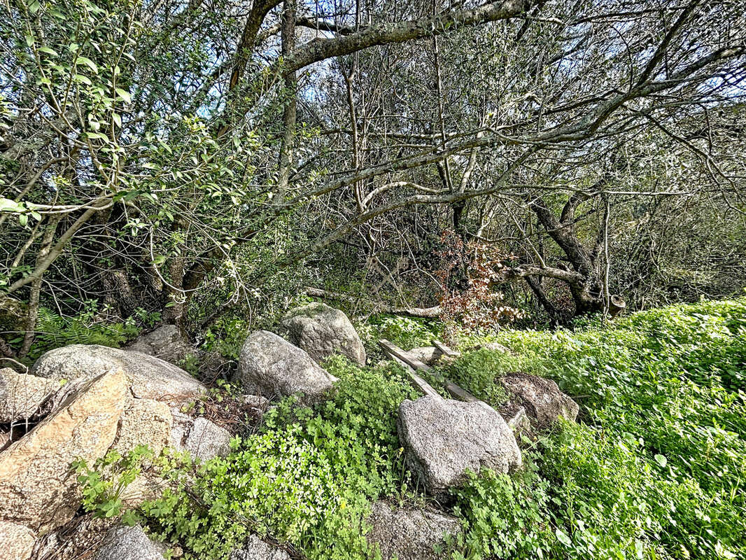 Maison à PORTO-VECCHIO
