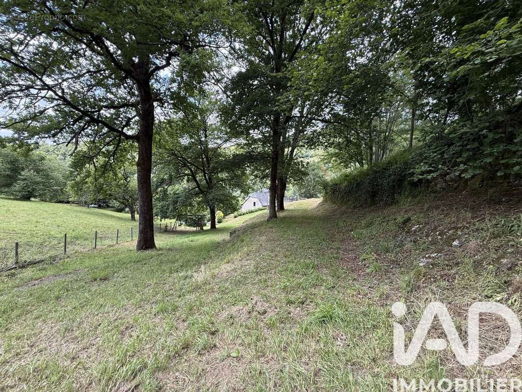 Maison 163 m² à Entraygues-Sur-Truyere  - photo 7