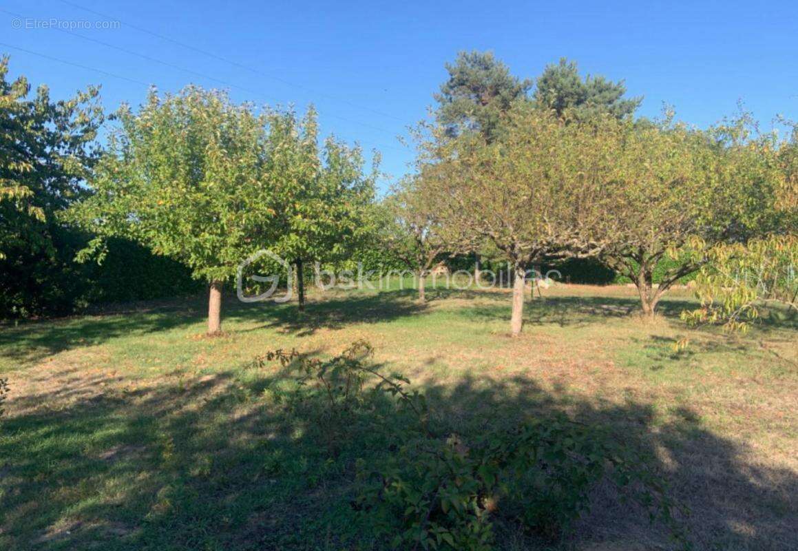 Terrain 2642 m2 artannes sur indre - libre constructeur - photo 6