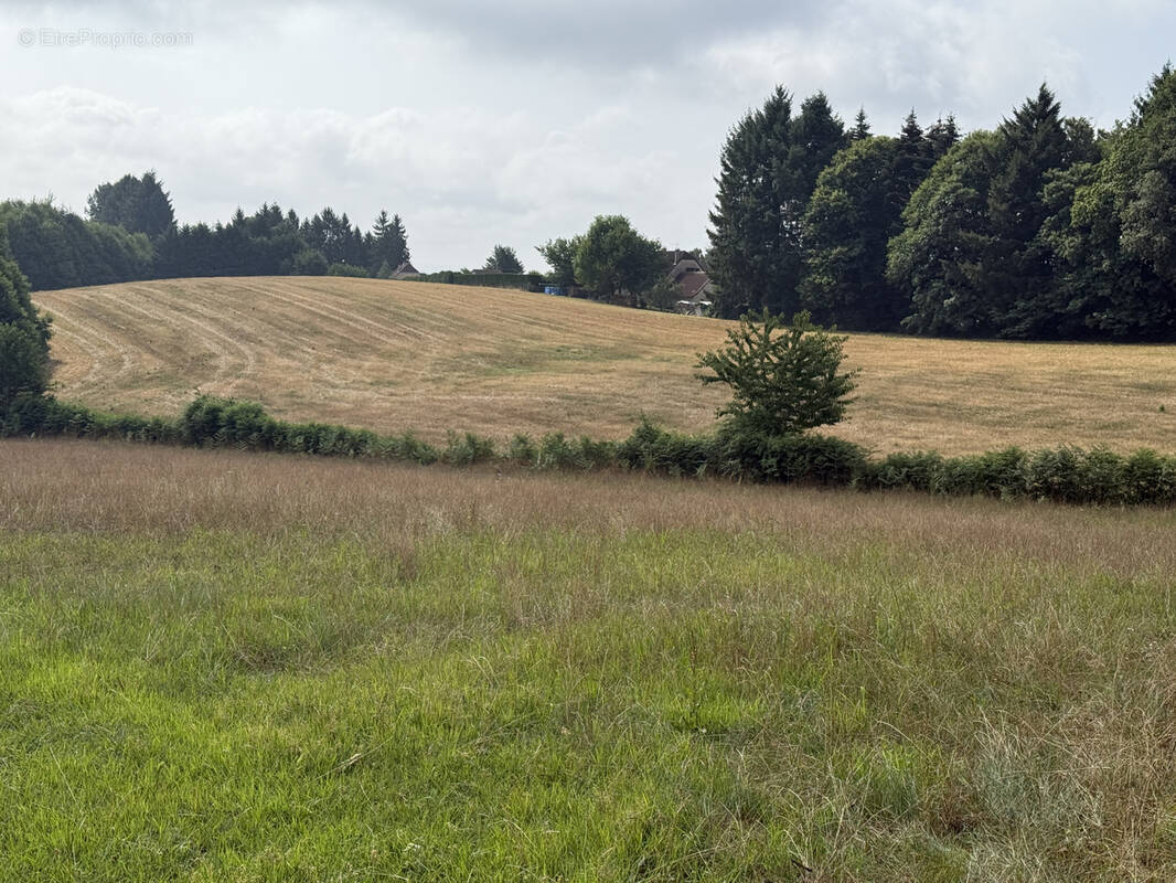 Terrain à SAINT-PARDOUX-L'ORTIGIER