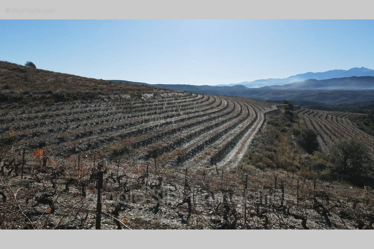 Terrain à RASIGUERES