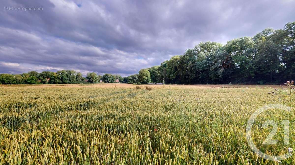 Terrain à SAINT-QUENTIN