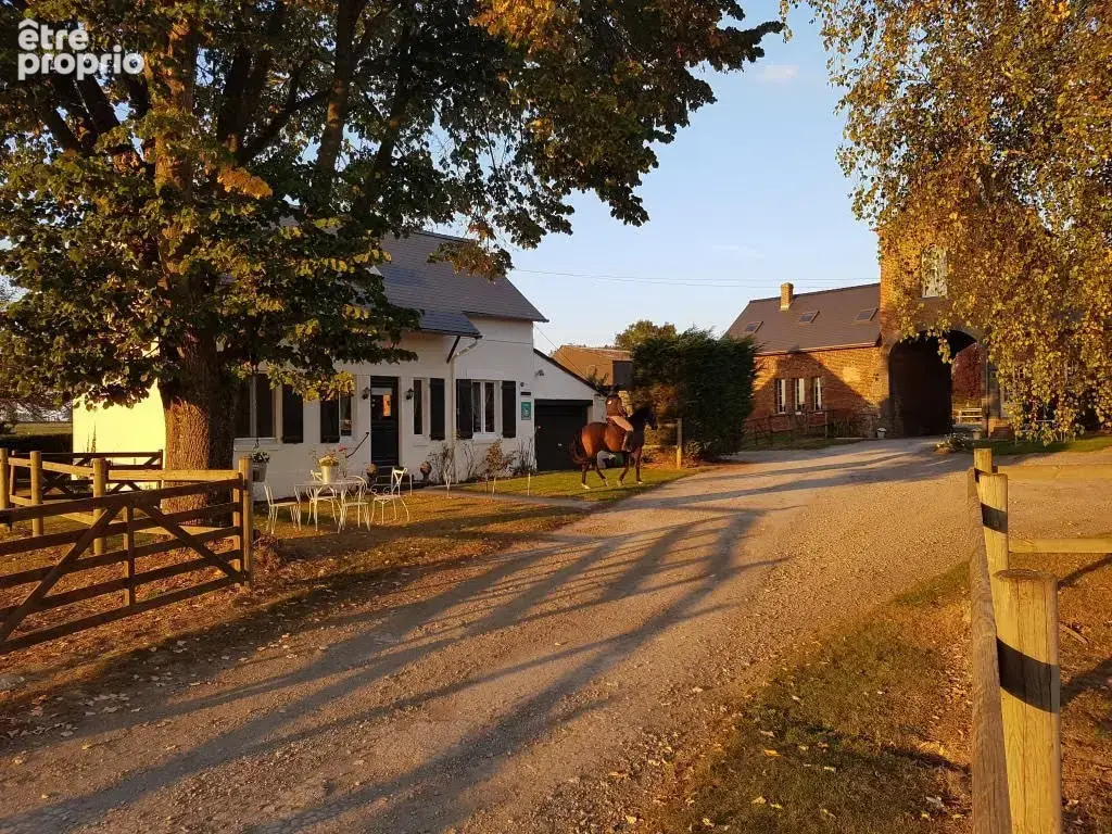 Gîtes et installations équestres - photo 2