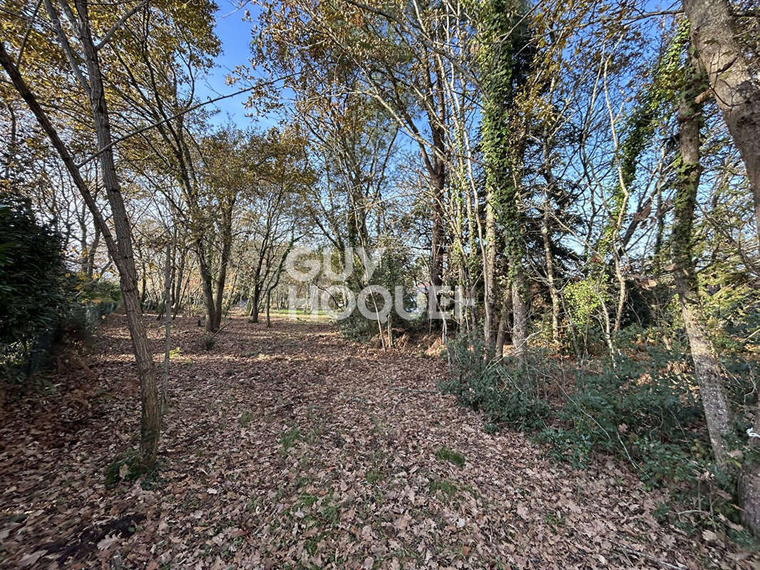 Terrain à PARENTIS-EN-BORN