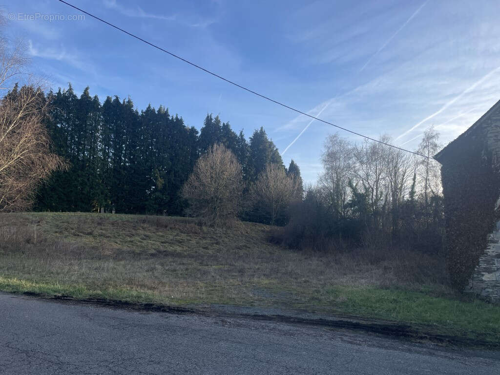 Entre Pompadour et Juillac - photo 17