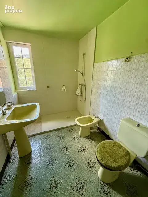 Maison familiale des années 70 avec sous-sol complet et beau potentiel - photo 9